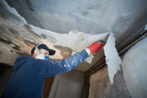 damage restoration